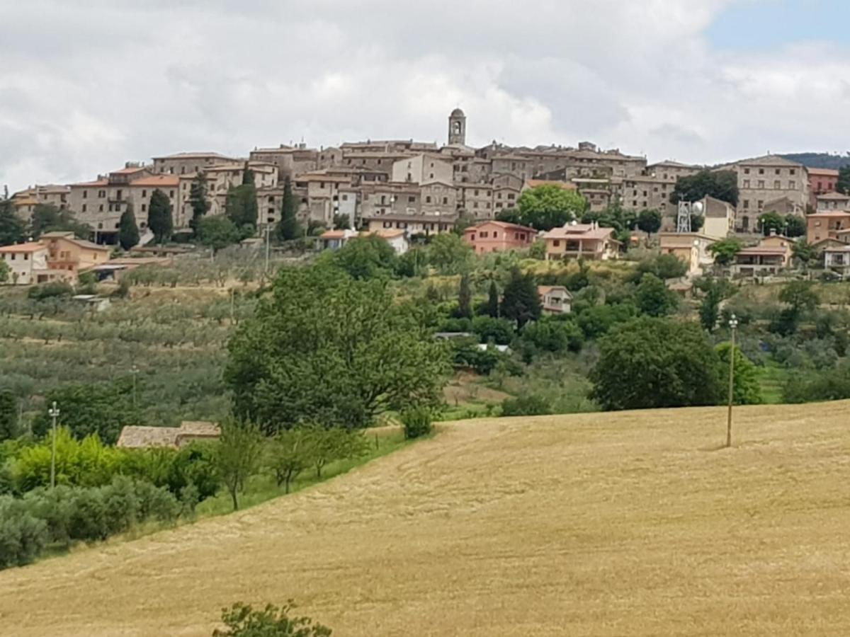 Bed and Breakfast Al Ginepro Montecchio  Exterior foto